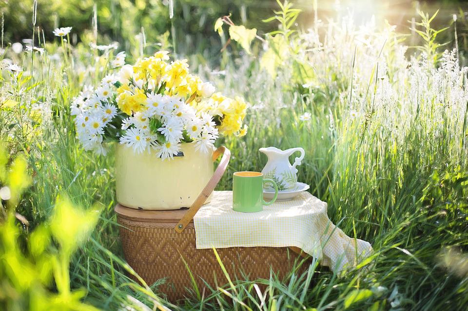 ir de picnic