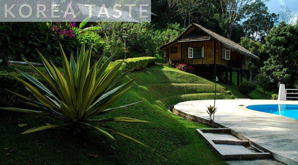 Claves para crear el mejor jardín con piscina