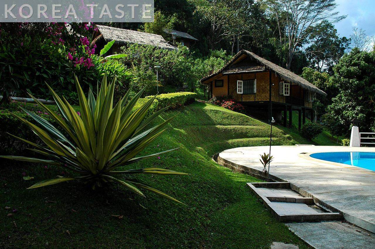 Claves para crear el mejor jardín con piscina