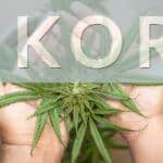 Marihuana macho y hembra: diferencias clave en el cultivo